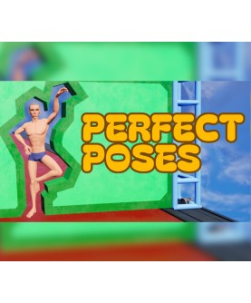 Perfect Poses Steam Key GLOBAL
